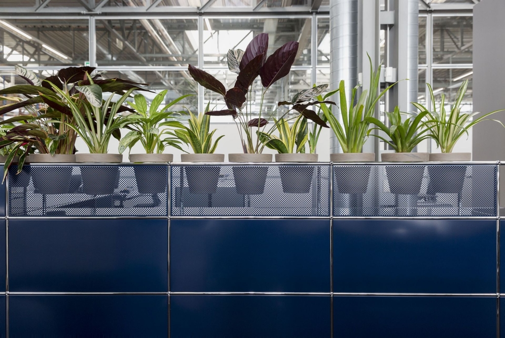 USM Haller Tablar 350x350, perforiert Stahlblau - Gebraucht - Größe wählbar Produktbild