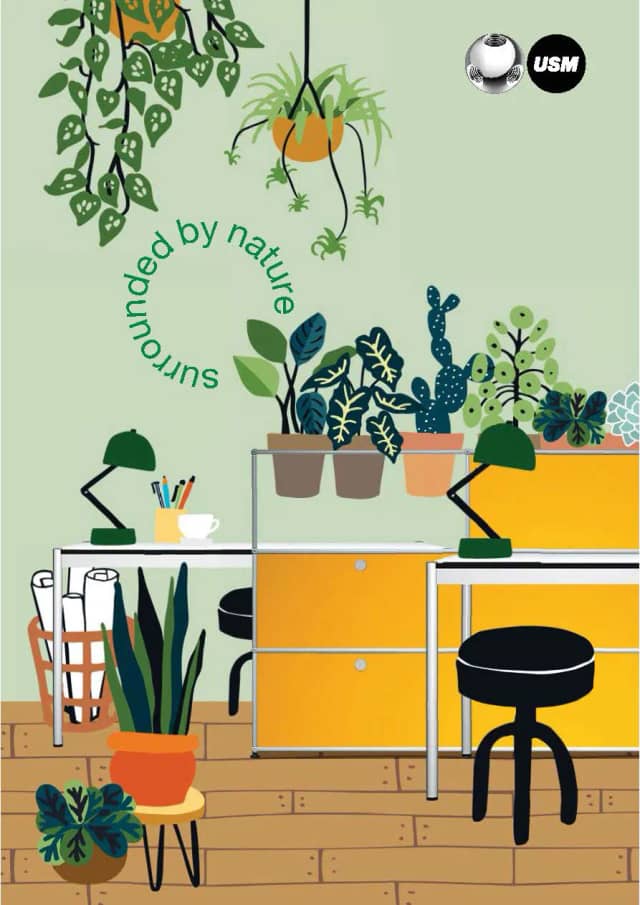 USM Haller Katalog Pflanzenwelt