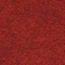Rot